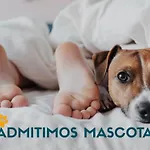 Complejo Formigal 3000 Búbal