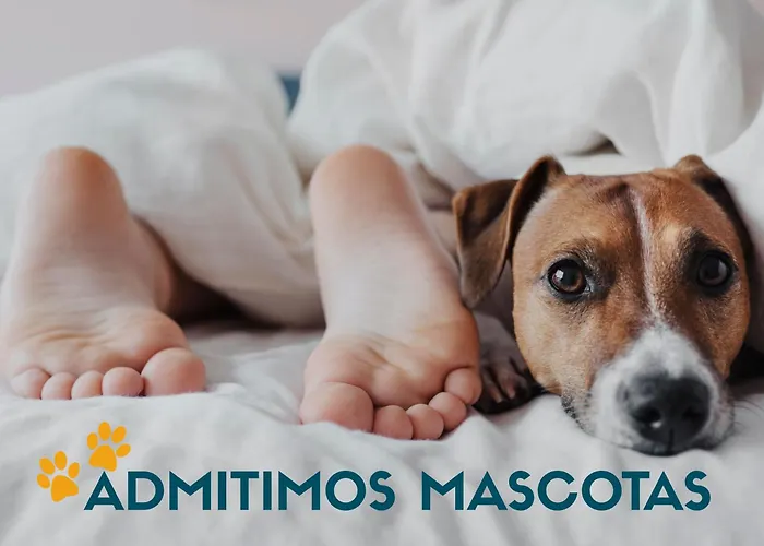 Complejo Formigal 3000 Búbal